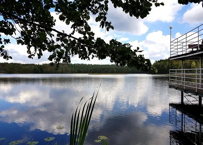Osrodek Wypoczynkowy Stadnina Koni Kaszubski Bor Camping