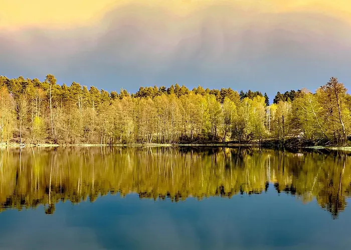 Camping Osrodek Wypoczynkowy Stadnina Koni Kaszubski Bor Sominy